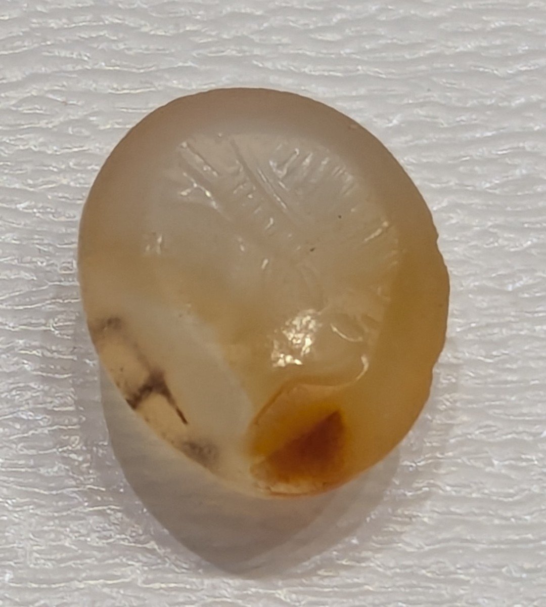 Translucent Carnelian Intaglio – Woman Profile – Roman Period-photo-1