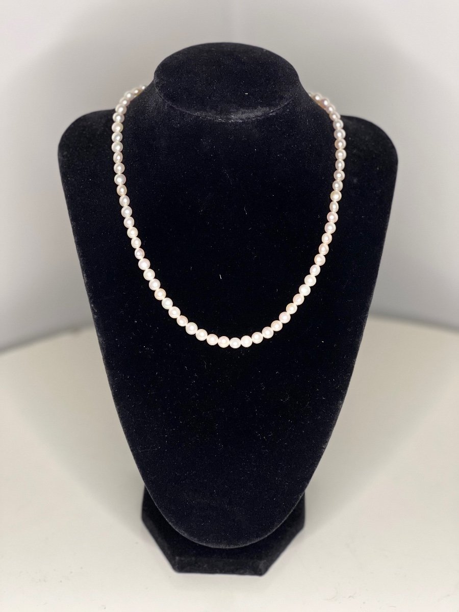 Cultured Pearl Necklace Silver Clasp 41.5 Cm Pb 15.86 Gr-photo-2