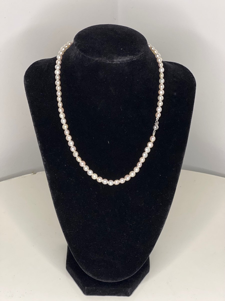 Cultured Pearl Necklace Silver Clasp 41.5 Cm Pb 15.86 Gr