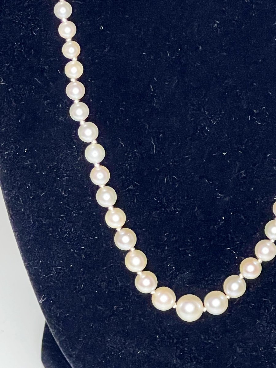 Necklace 83 Cultured Pearls Falling 18k Gold Clasp 54 Cm-photo-3