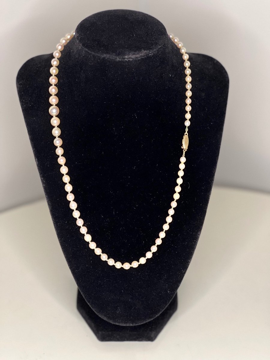 Necklace 73 Akoya Cultured Pearls 18k Gold Clasp 50 Cm-photo-2