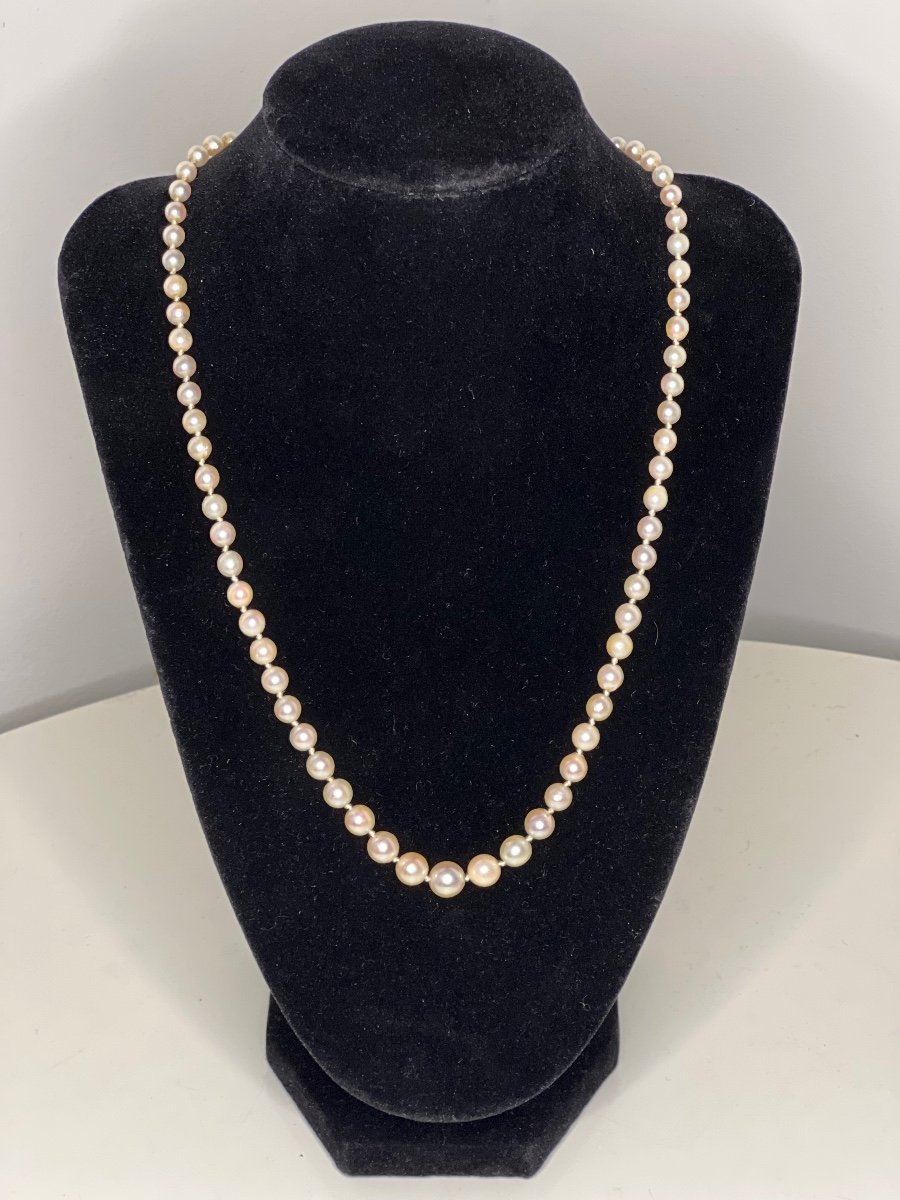 Necklace 73 Akoya Cultured Pearls 18k Gold Clasp 50 Cm