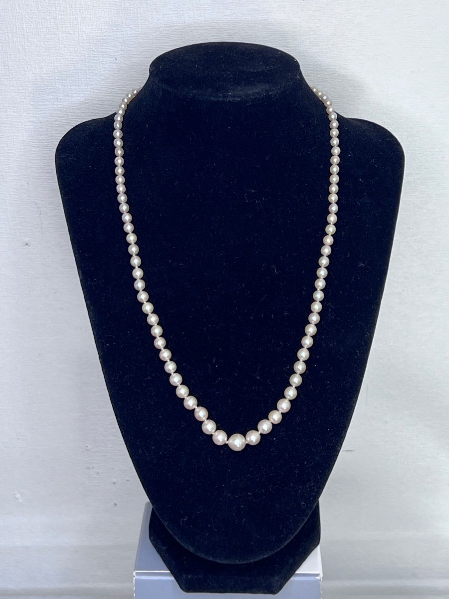 Necklace 91 Cultured Pearls Silver Clasp 49 Cm