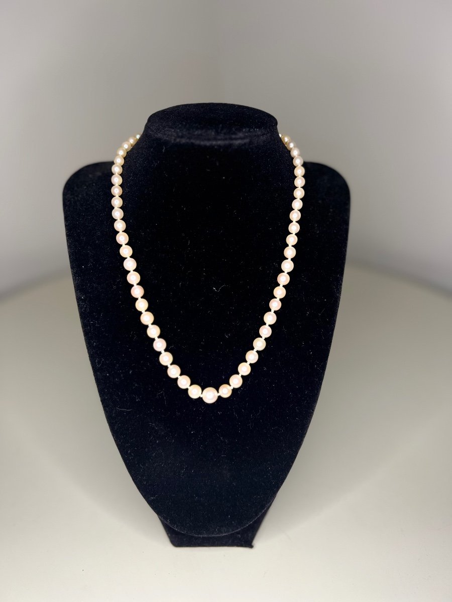 Collier 61 Perles De Culture Blanche Fermoir Or 18k 44 Cm