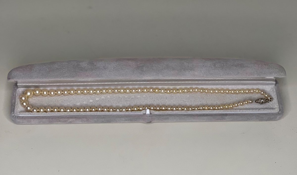 Akoya Cultured Pearl Necklace Platinum Clasp And Diamonds 43 Cm-photo-4