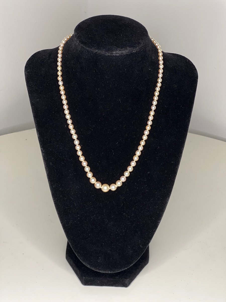 Akoya Cultured Pearl Necklace Platinum Clasp And Diamonds 43 Cm