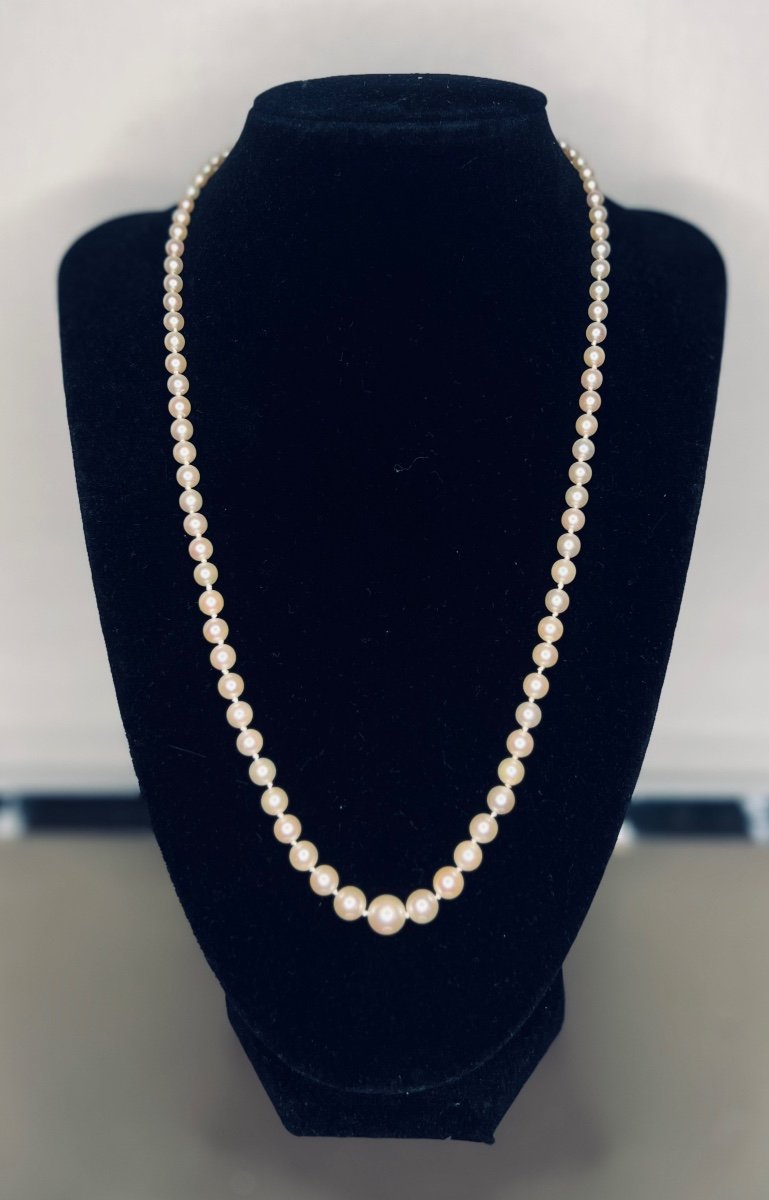 Necklace 91 Akoya Cultured Pearls In Drop Gold Clasp And Diamond 51 Cm