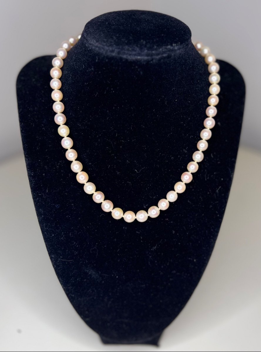 Choker Necklace 47 Akoya Cultured Pearls 18k Gold Clasp 41 Cm-photo-3