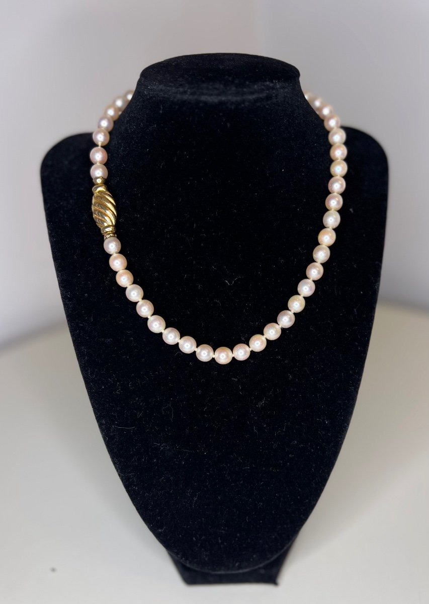 Choker Necklace 47 Akoya Cultured Pearls 18k Gold Clasp 41 Cm