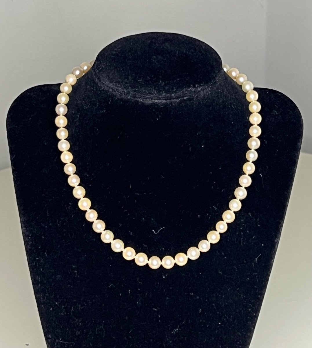 Choker Necklace 51 Cultured Pearls 750°/°° Gold Clasp 38.5 Cm