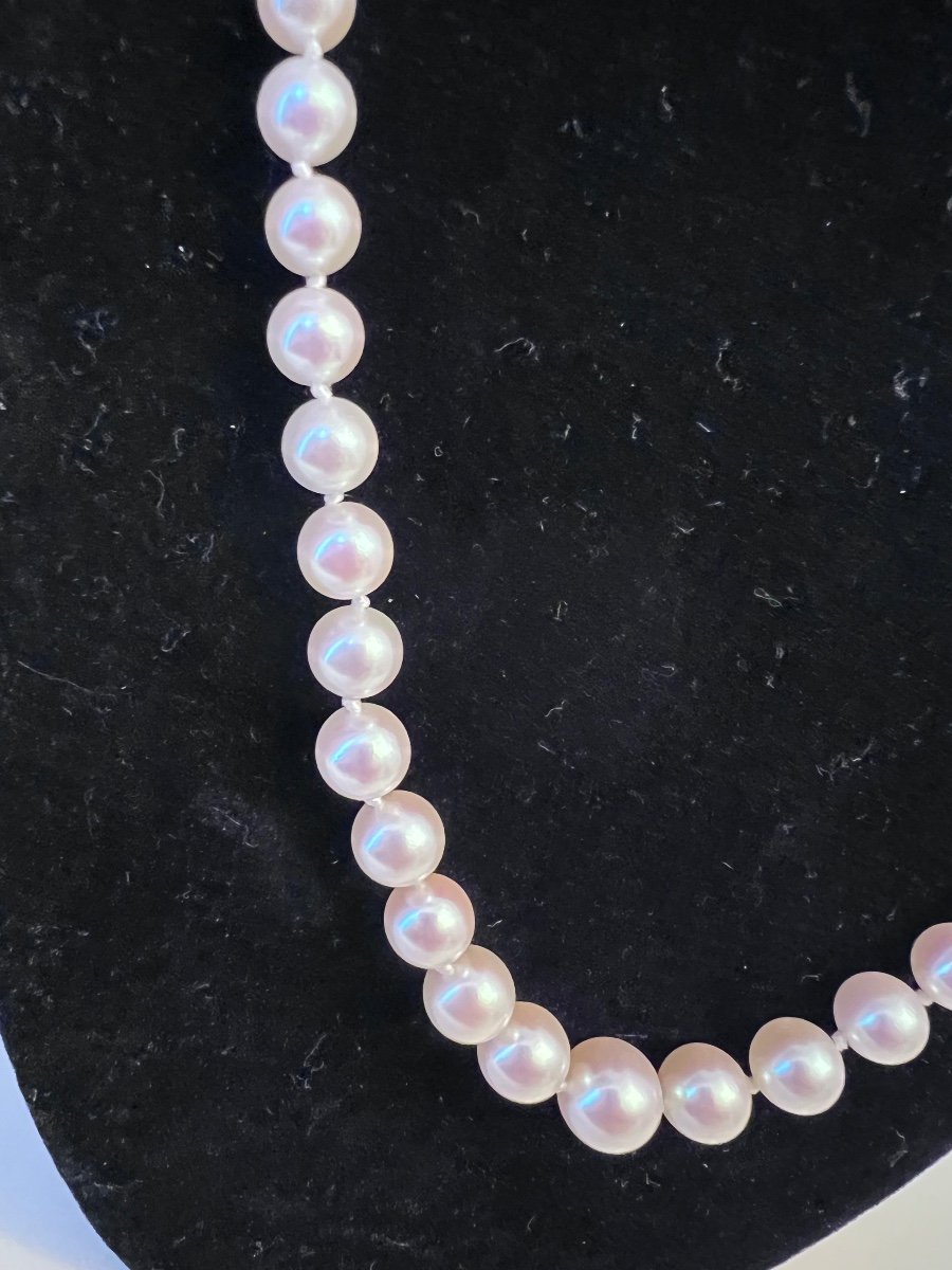 Necklace 73 Cultured Pearls Silver Clasp 50 Cm-photo-2