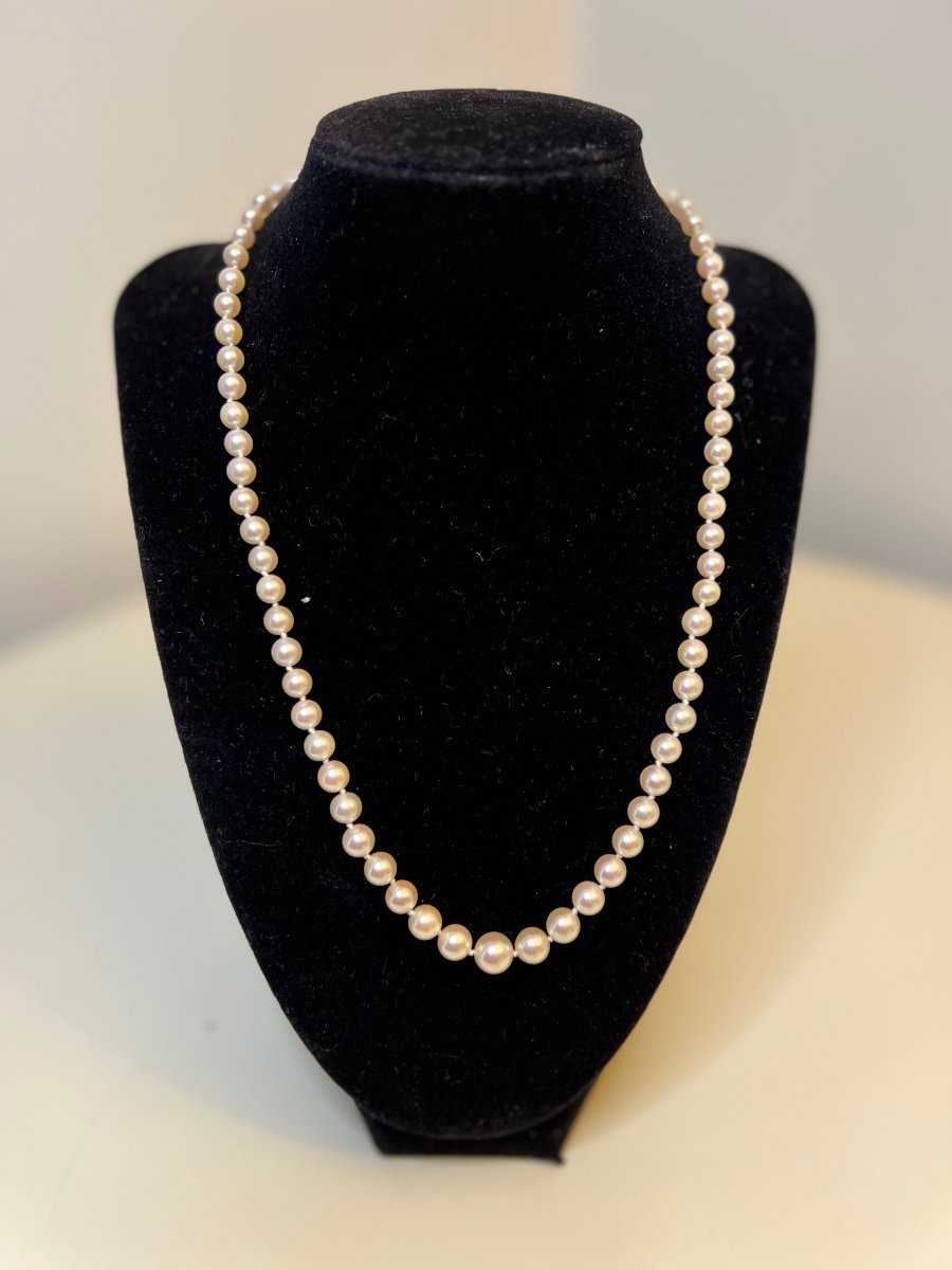 Necklace 73 Cultured Pearls Silver Clasp 50 Cm