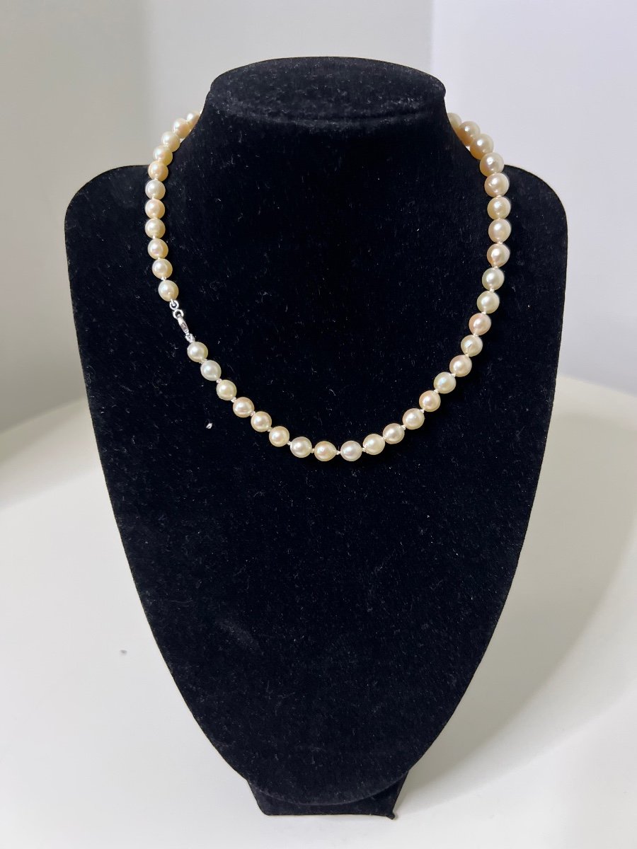 Collier De 50 Perles De Culture Akoya Fermoir Or Blanc 18k 39 Cm-photo-2