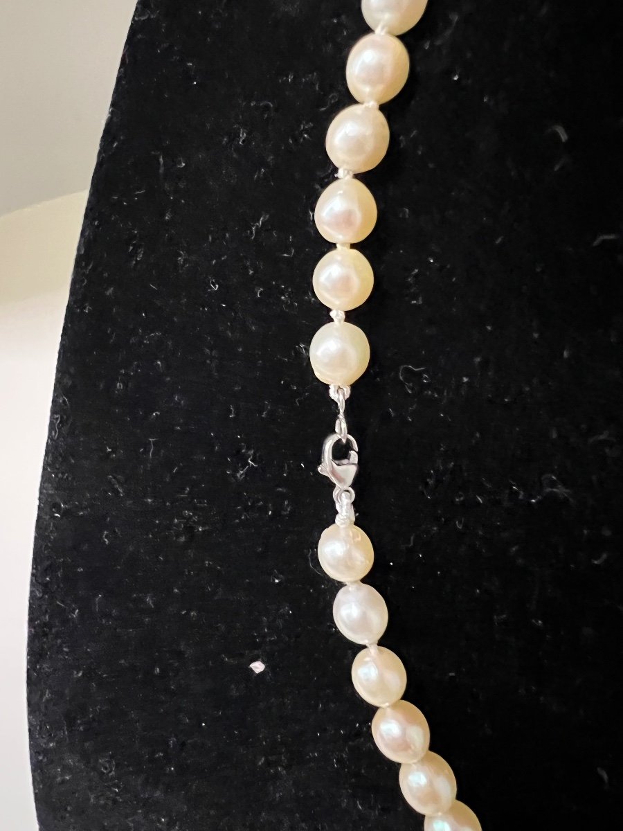 Collier De 50 Perles De Culture Akoya Fermoir Or Blanc 18k 39 Cm-photo-3