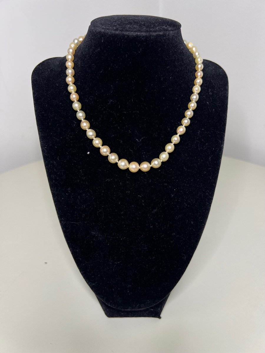 Collier De 50 Perles De Culture Akoya Fermoir Or Blanc 18k 39 Cm