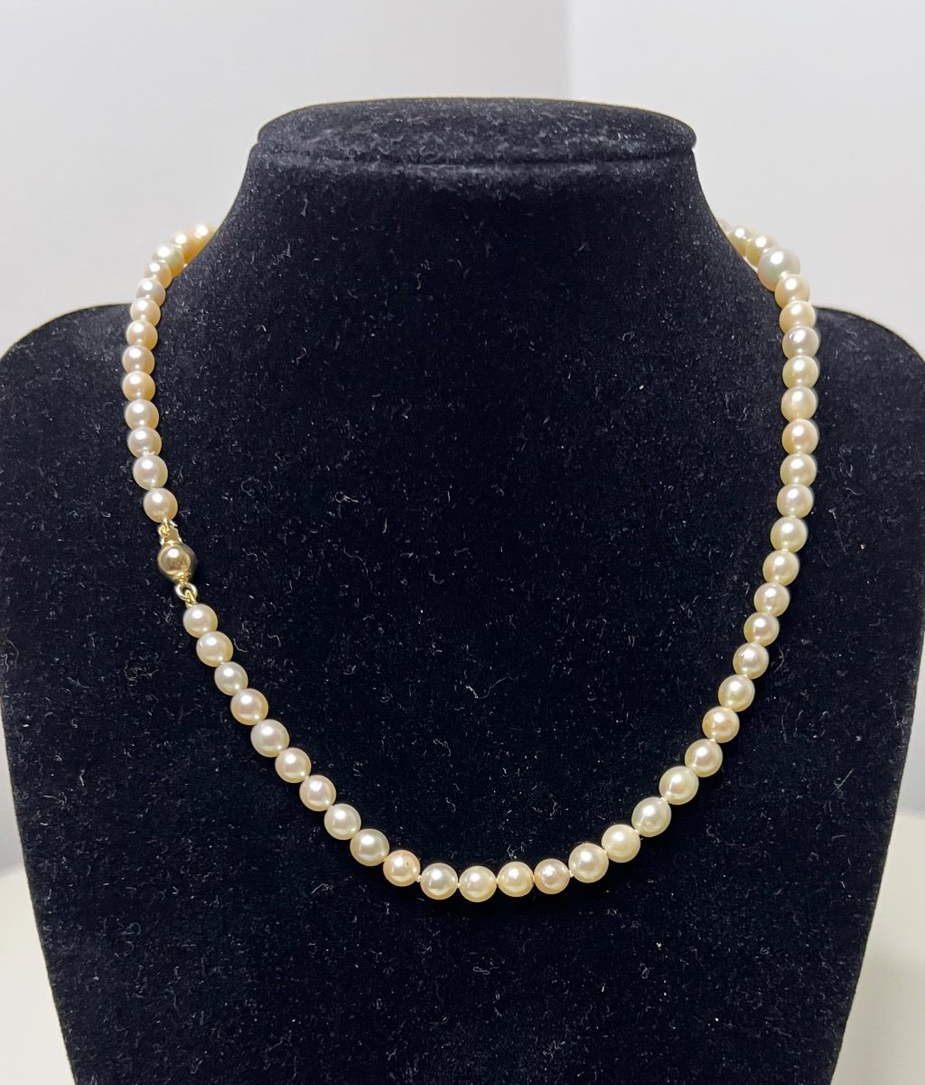 Necklace 69 Akoya Pearls Ball Clasp 18k Gold 41.5 Cm-photo-2