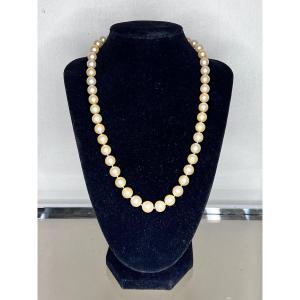 Chocker Necklace 47 Pearls 18 K Gold Clasp 50.5 Cm