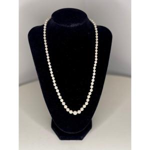 Necklace 83 Cultured Pearls Falling 18k Gold Clasp 54 Cm