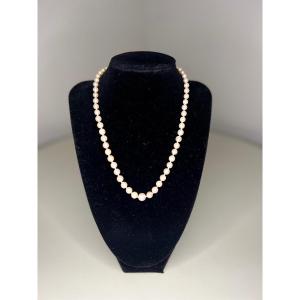 Collier 61 Perles De Culture Blanche Fermoir Or 18k 44 Cm