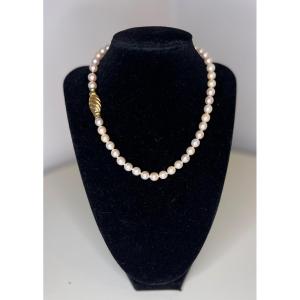 Choker Necklace 47 Akoya Cultured Pearls 18k Gold Clasp 41 Cm