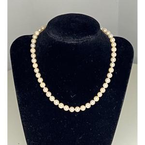 Choker Necklace 51 Cultured Pearls 750°/°° Gold Clasp 38.5 Cm