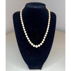 Necklace 57 Cultured Pearls Clasp And Chain In 18k Gold 44 Cm