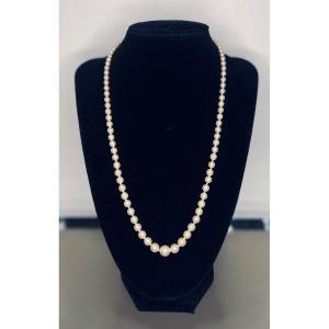 Necklace 91 Akoya Cultured Pearls In Drop Gold Clasp And Diamond 51 Cm