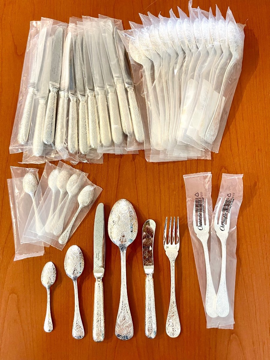 Christofle Jardin d'Eden, Spoon Knives, Butter Knife, Fish Forks Lot Or Lé