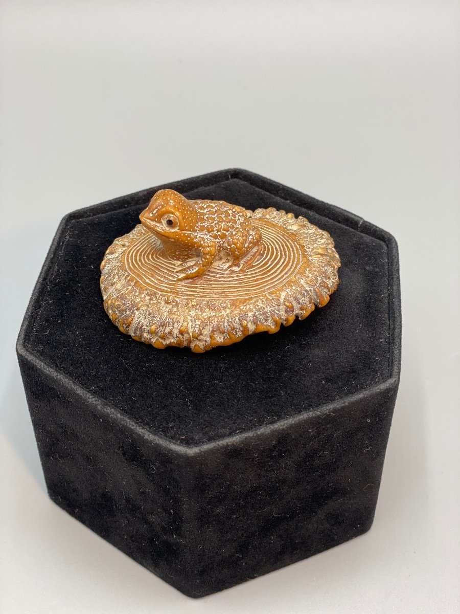 Japanese Netsuke Circa 1860-photo-3