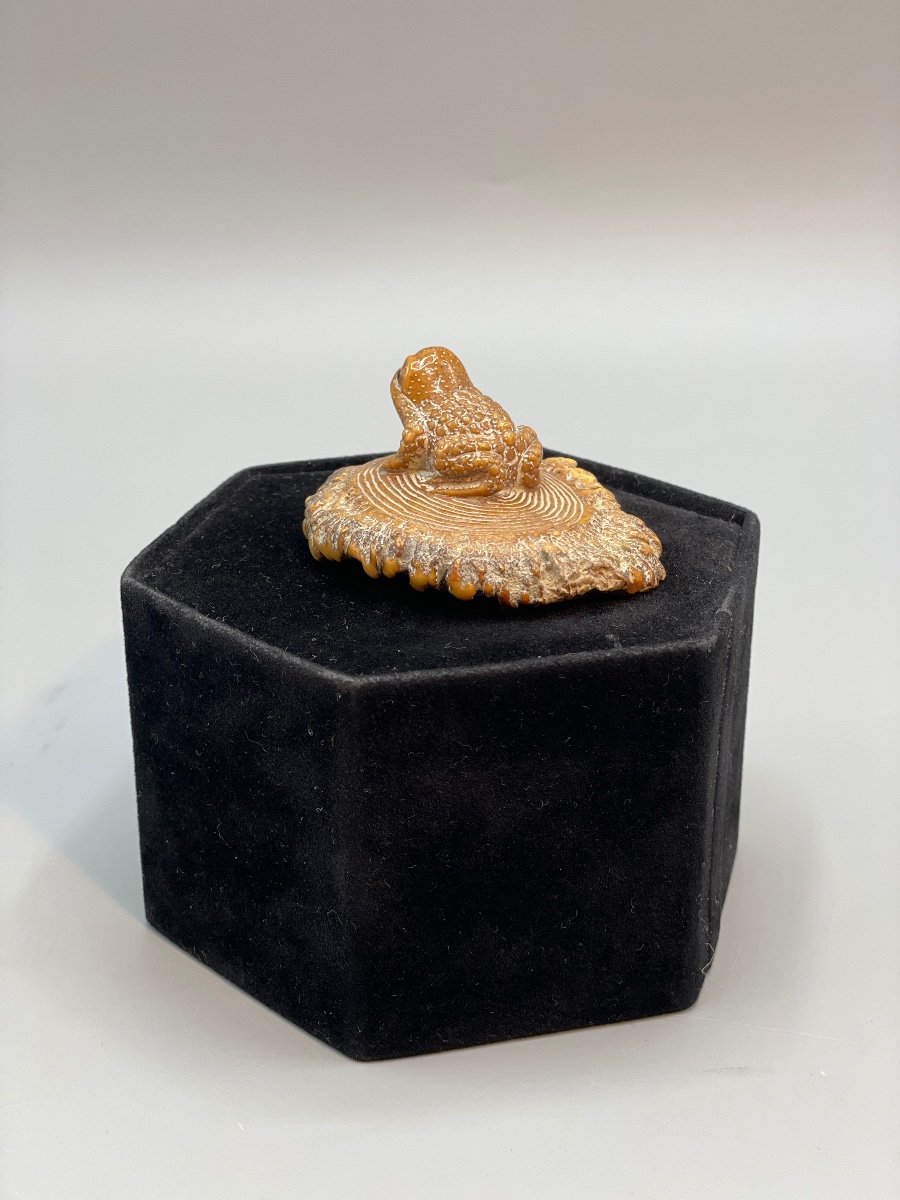 Japanese Netsuke Circa 1860-photo-4