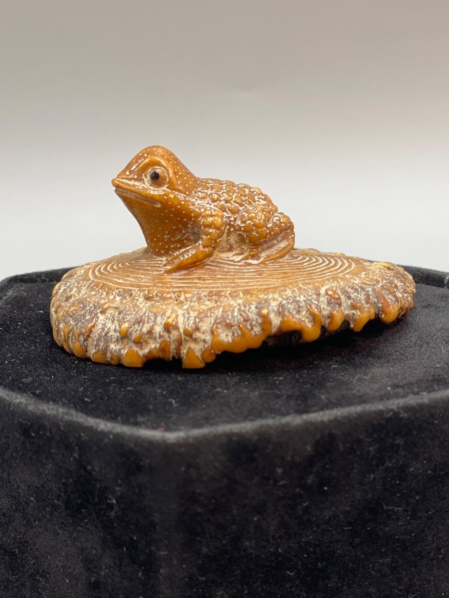 Japanese Netsuke Circa 1860-photo-1