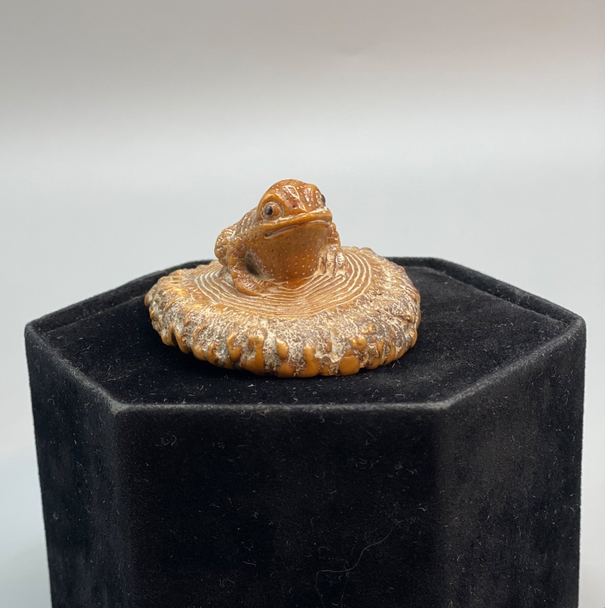 Japanese Netsuke Circa 1860-photo-3