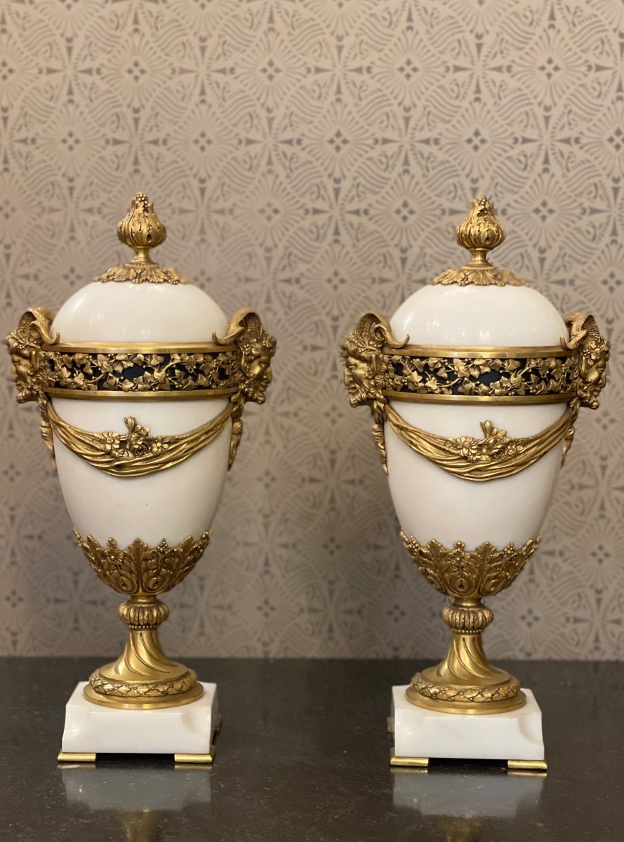 Pair Of Louis XVI Style Marble And Bronze Covered Vases