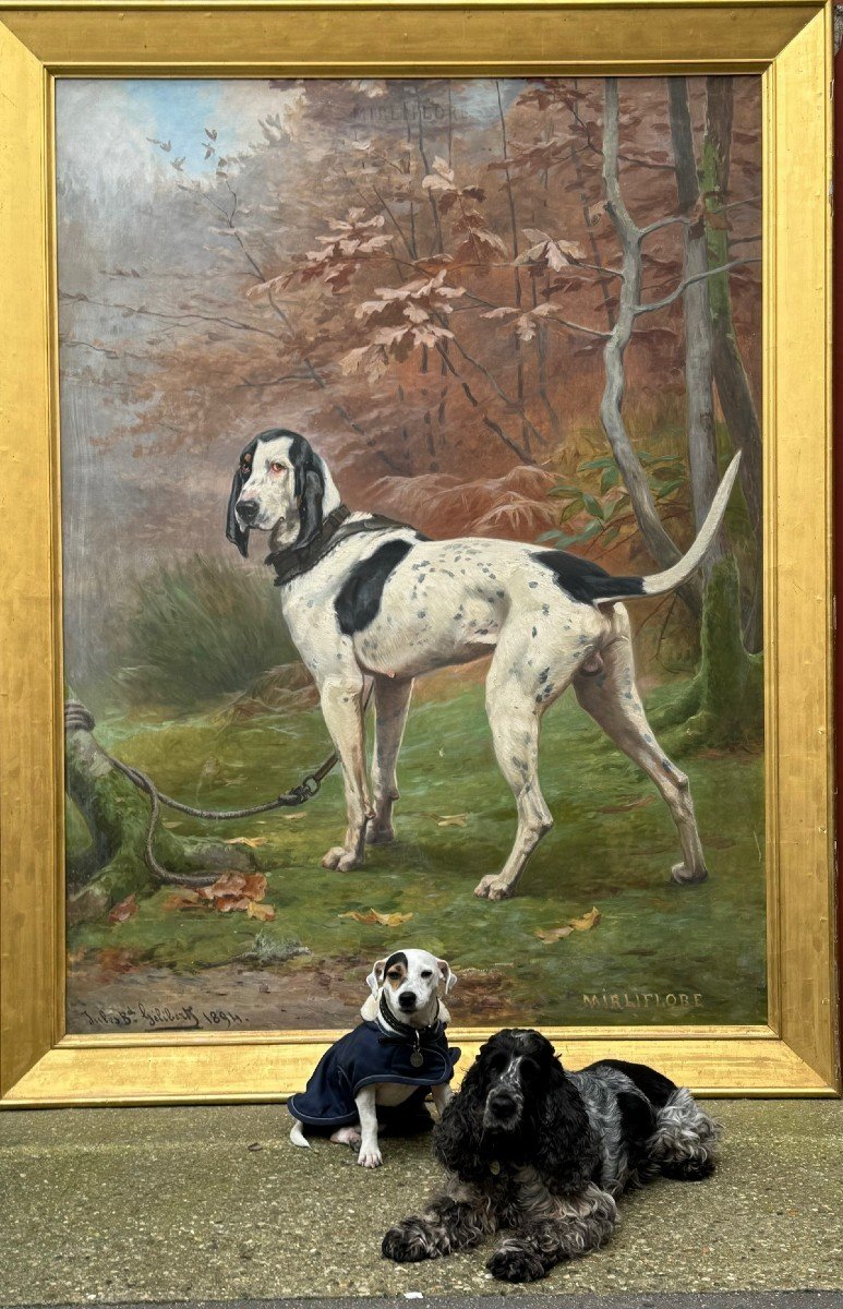 Jules-bertrand Gelibert 1834-1916 Important Portrait Of The Dog Mirliflore In 1894.-photo-3