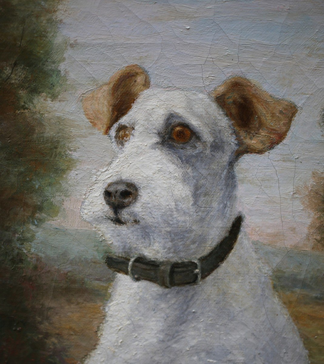 French School, Early 20th Century, Portrait Of A Dog, Fox Terrier-photo-3