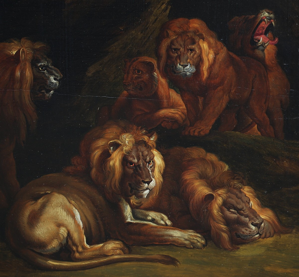 19th Century Belgian School, The Lions Resting, Oil On Wood Signed Waggemans Dated 1840 -photo-1