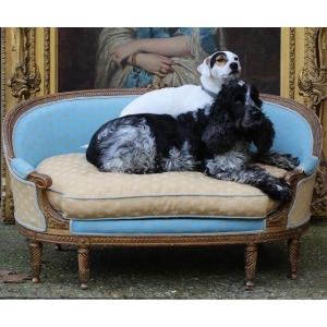Small L XVI Style Dog Sofa In Gilded And Carved Wood Circa 1880