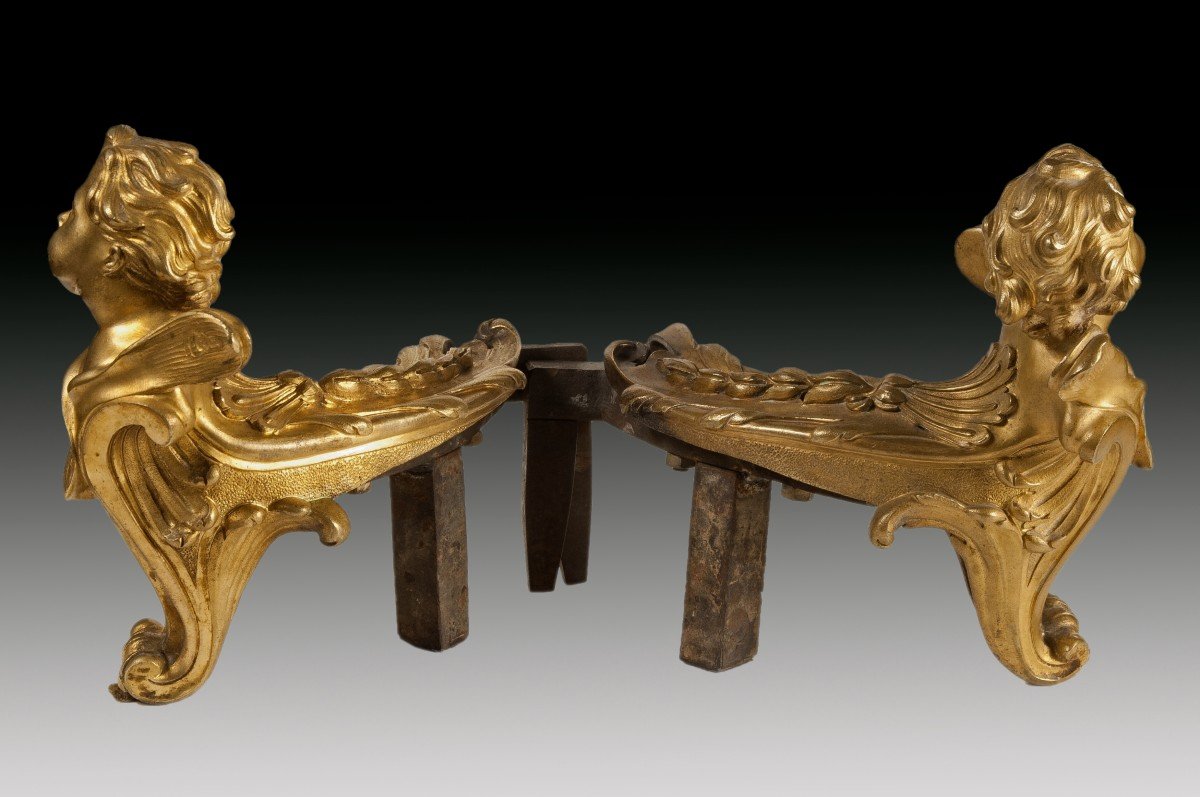 Pair Of Gilt Bronze And Iron Andirons. France, 19th Century. -photo-2