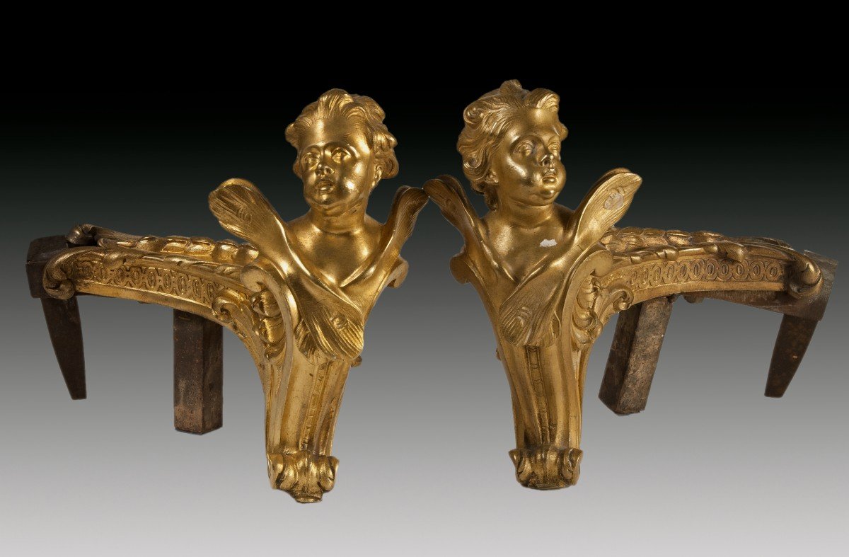 Pair Of Gilt Bronze And Iron Andirons. France, 19th Century. -photo-3