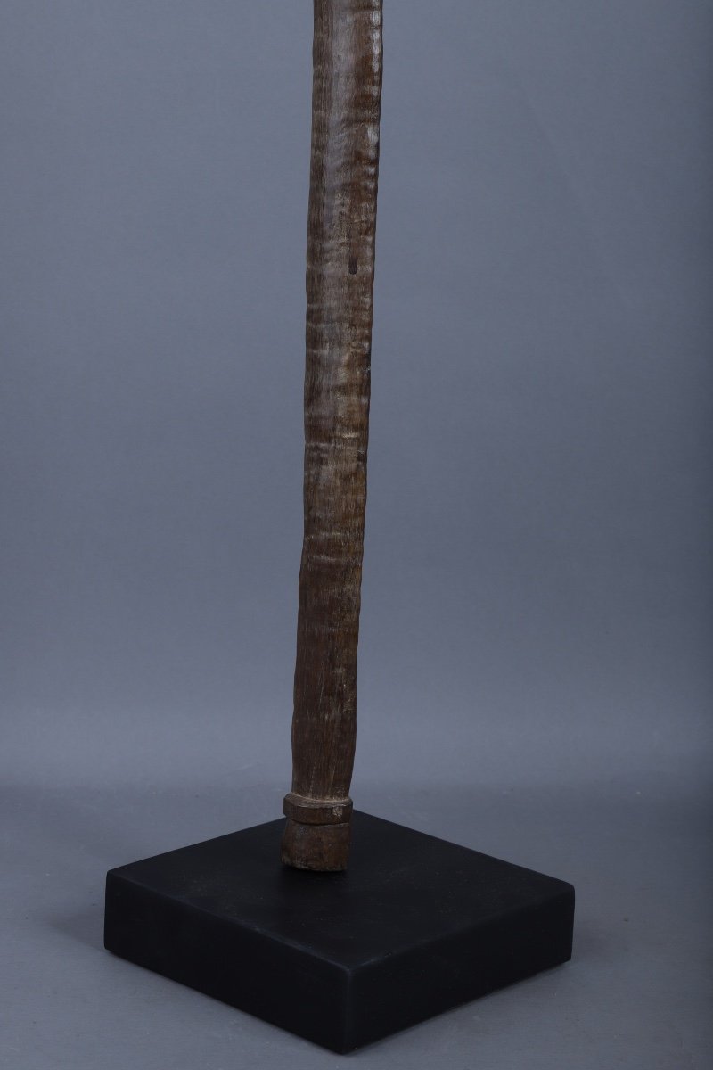 War Mace - Melanesia / Vanuatu-photo-4