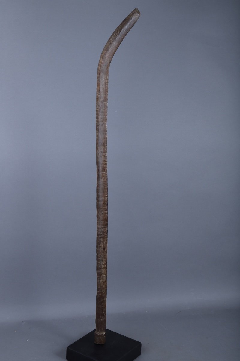 War Mace - Melanesia / Vanuatu-photo-1