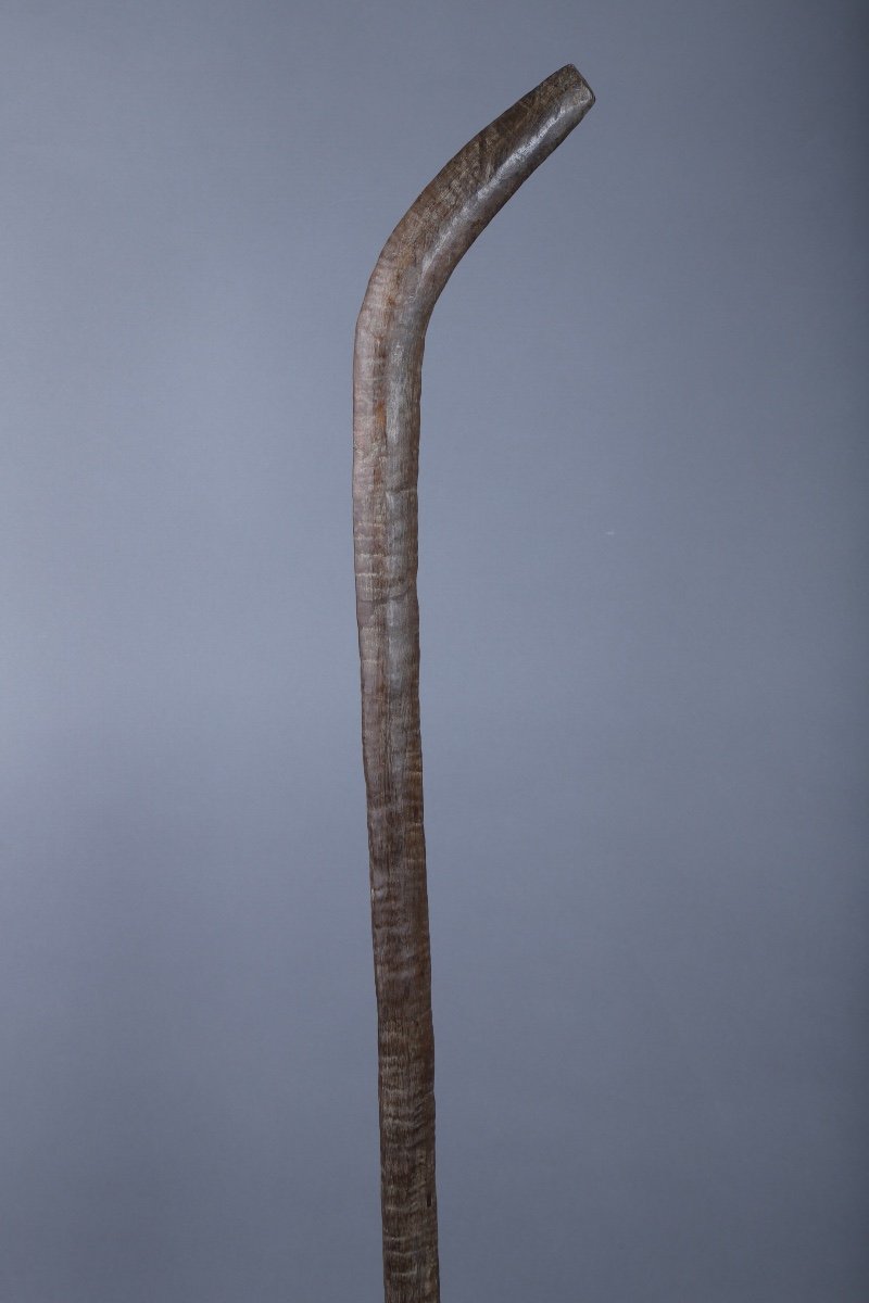 War Mace - Melanesia / Vanuatu-photo-2