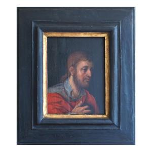 Girolamo de Trévise, Saint-roch, Huile Sur Panneau, Cm. 23,7 × 17,9