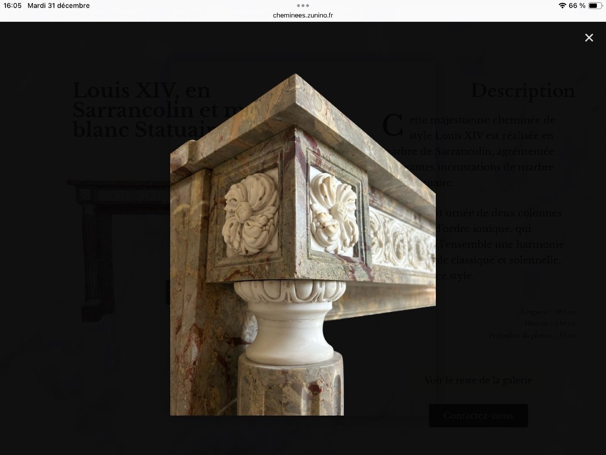 Louis XIV Fireplace In Sarrancolin And Statuary White Marble Inlay-photo-7