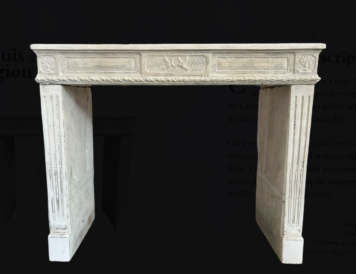 Louis XVI Period Fireplace In Nancy Stone